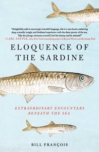 bokomslag Eloquence of the Sardine: Extraordinary Encounters Beneath the Sea