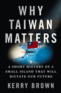 bokomslag Why Taiwan Matters