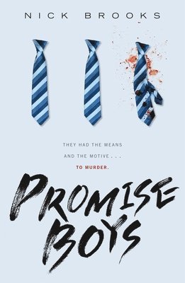 Nick Brooks - Promise Boys, Häftad