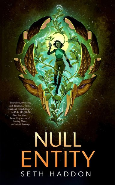 Seth Haddon - Null Entity, Inbunden