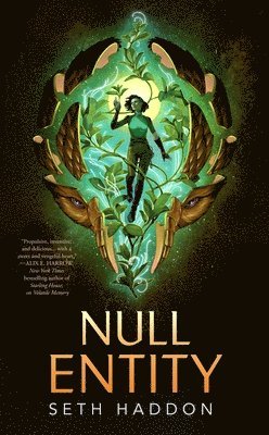 Seth Haddon - Null Entity, Inbunden