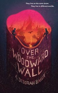 bokomslag Over the Woodward Wall