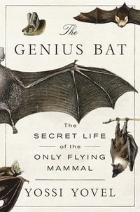 bokomslag The Genius Bat: The Secret Life of the Only Flying Mammal