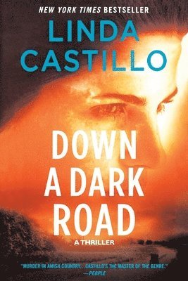 bokomslag Down a Dark Road: A Kate Burkholder Novel