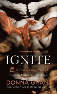 bokomslag Ignite: A Dark Kings Novel