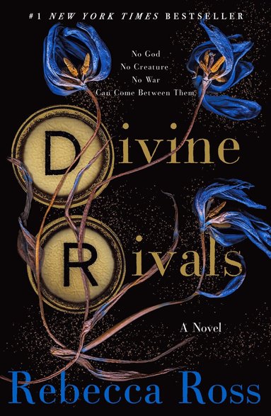 Rebecca Ross - Divine Rivals, Häftad