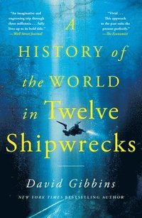 bokomslag A History of the World in Twelve Shipwrecks