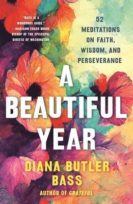 Diana Butler Bass - Beautiful Year, Häftad