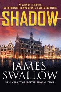 bokomslag Shadow