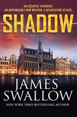 bokomslag Shadow