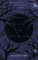 The Dark In-Between 1