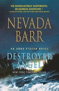 bokomslag Destroyer Angel