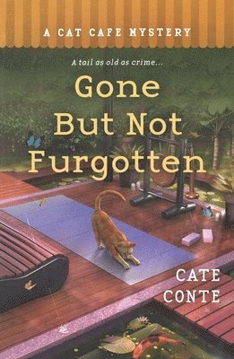 bokomslag Gone but Not Furgotten