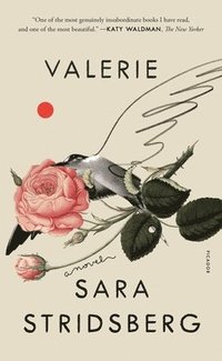 bokomslag Valerie: Or, the Faculty of Dreams: A Novel