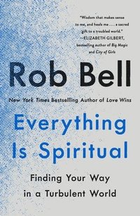 bokomslag Everything Is Spiritual