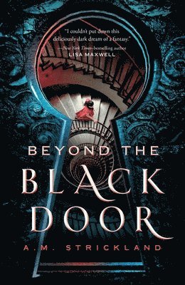 bokomslag Beyond the Black Door