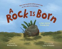 bokomslag Rock Is Born
