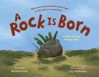 bokomslag A Rock Is Born: An Epic Journey Through Time