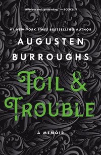 bokomslag Toil & Trouble