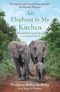bokomslag An Elephant in My Kitchen