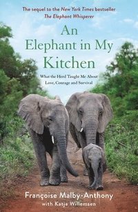 bokomslag Elephant In My Kitchen
