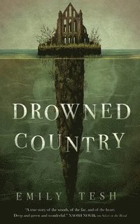 bokomslag Drowned Country