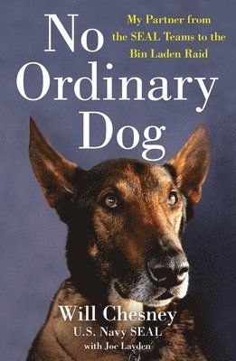 No Ordinary Dog 1
