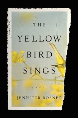 bokomslag Yellow Bird Sings