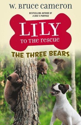 W. Bruce Cameron - Lily to the Rescue: The Three Bears, Häftad