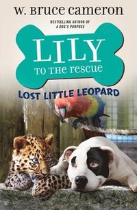 bokomslag Lily To The Rescue: Lost Little Leopard