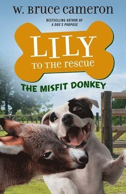 bokomslag Lily To The Rescue: The Misfit Donkey