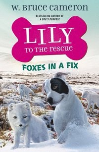 bokomslag Lily To The Rescue: Foxes In A Fix
