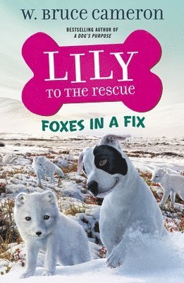 bokomslag Lily To The Rescue: Foxes In A Fix