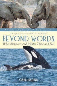 bokomslag Beyond Words: What Elephants and Whales Think and Feel (a Young Reader's Adaptation)