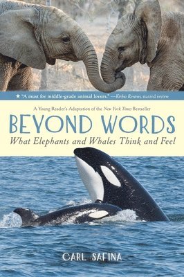 Carl Safina - Beyond Words: What Elephants and Whales Think and Feel (a Young Reader's Adaptation), Häftad