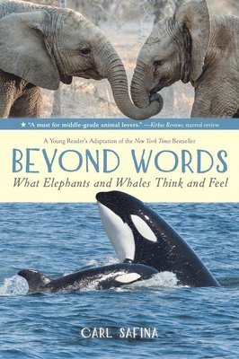 bokomslag Beyond Words: What Elephants and Whales Think and Feel (a Young Reader's Adaptation)