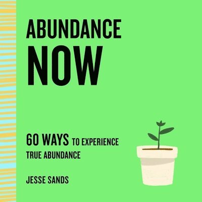 Abundance Now 1