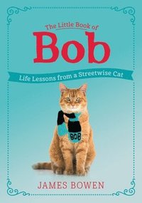 bokomslag Little Book Of Bob
