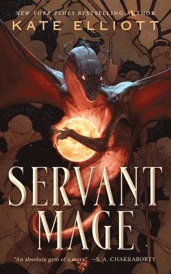 Servant Mage 1