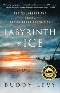 bokomslag Labyrinth of Ice