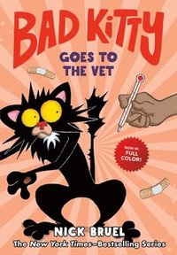 bokomslag Bad Kitty Goes to the Vet