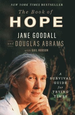 bokomslag Book Of Hope