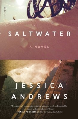 Jessica Andrews - Saltwater, Häftad