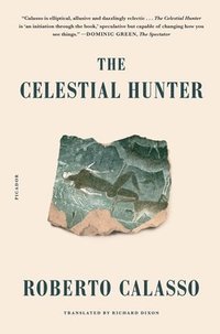 bokomslag The Celestial Hunter