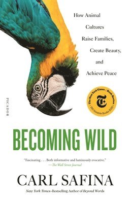 Carl Safina - Becoming Wild, Häftad