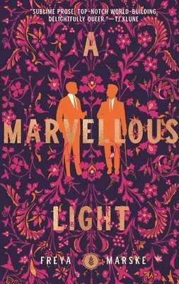 bokomslag A Marvellous Light