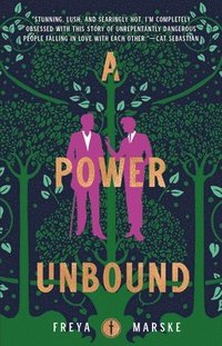 bokomslag A Power Unbound