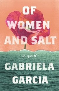 bokomslag Of Women And Salt