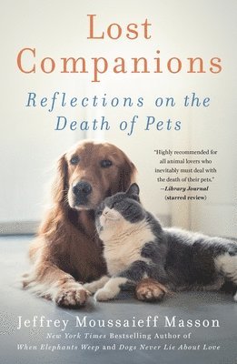 Lost Companions 1