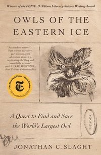 bokomslag Owls of the Eastern Ice